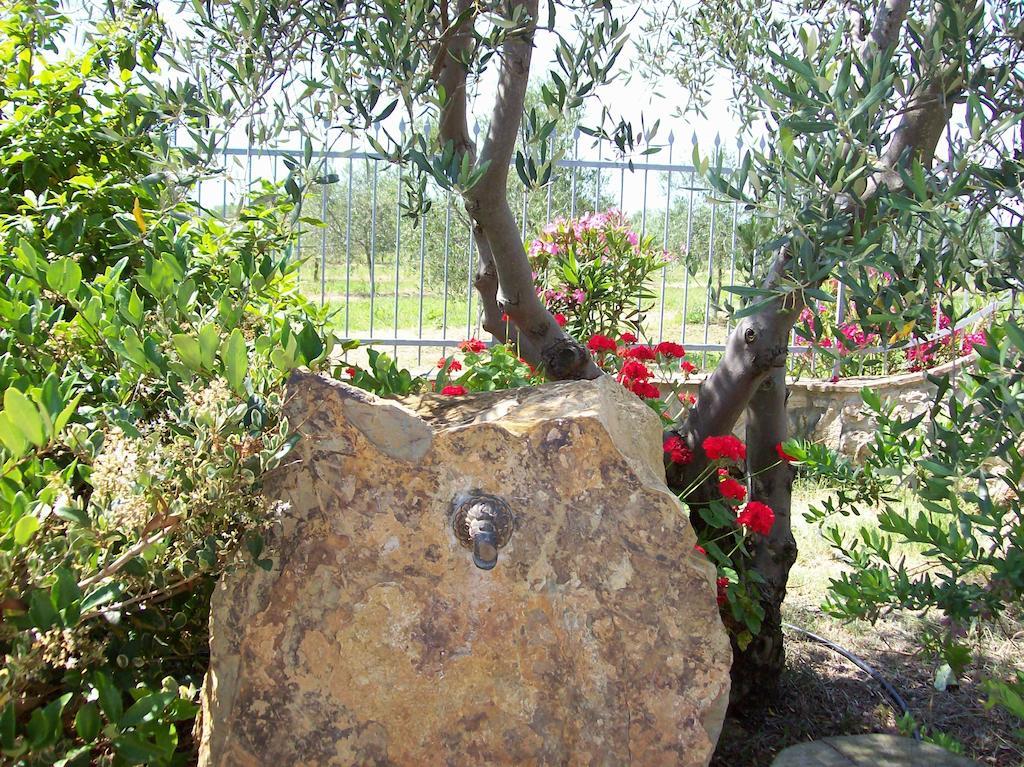 Azienda Agrituristica Le Betulle Riotorto Exterior foto