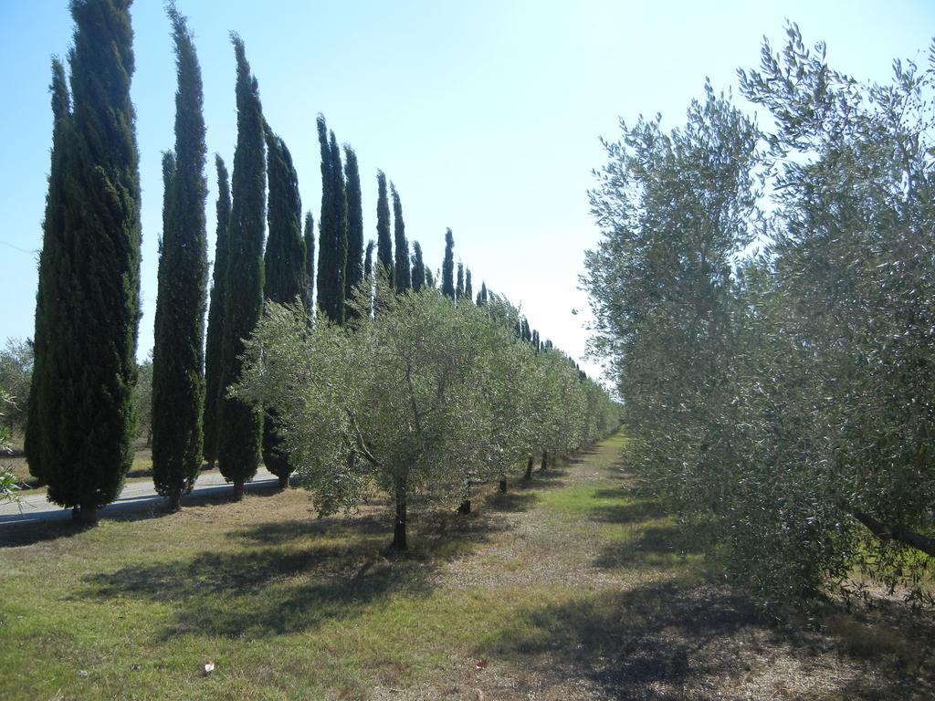 Azienda Agrituristica Le Betulle Riotorto Exterior foto